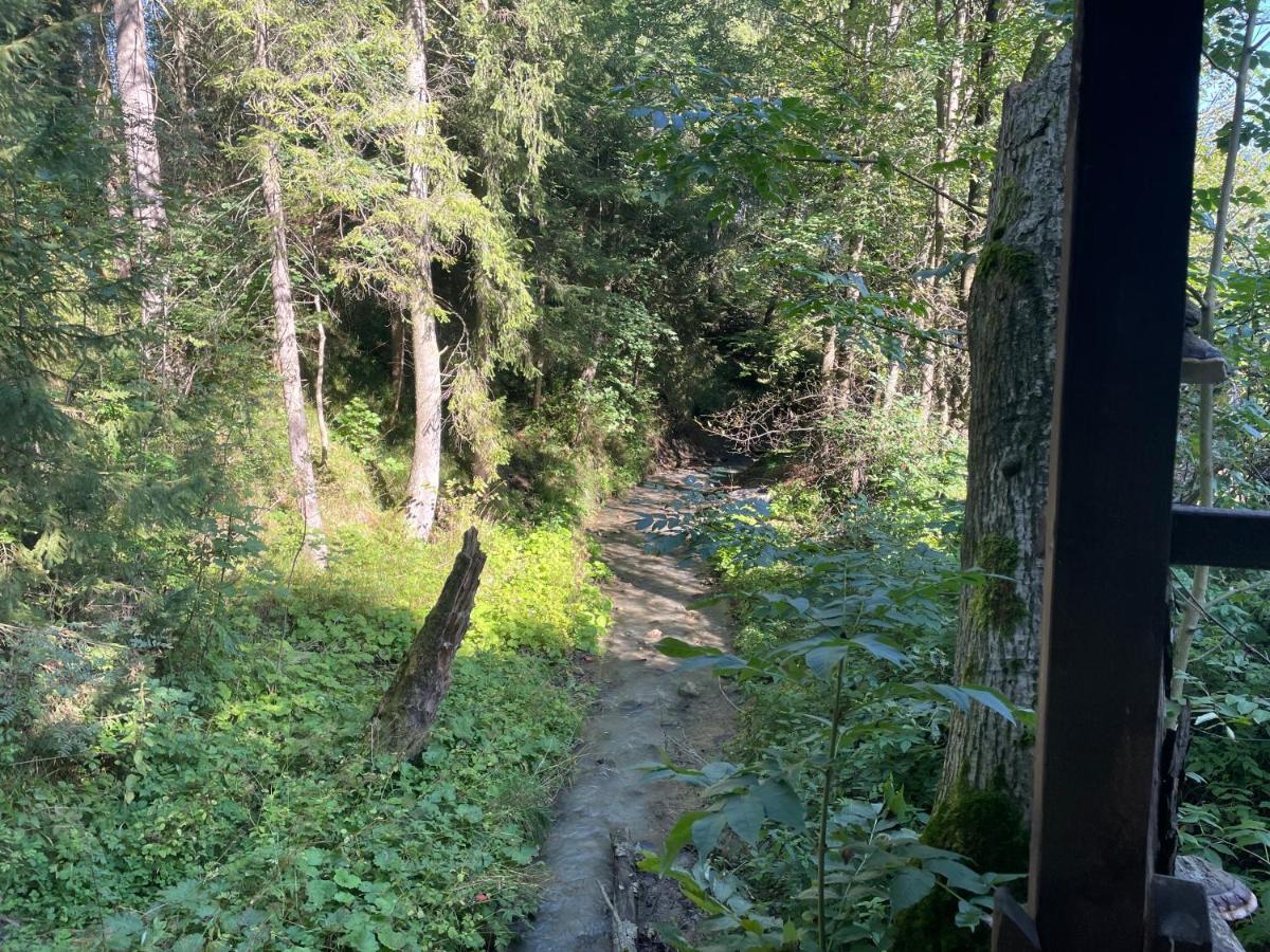 Apartament Idylla Apartment Zakopane Bagian luar foto